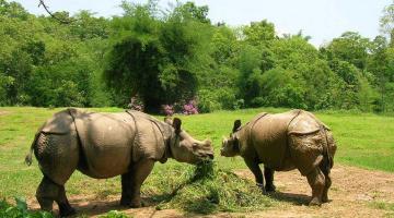 Assam State Zoo