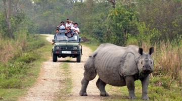 Kaziranga National Park