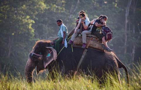 Kaziranga National Park