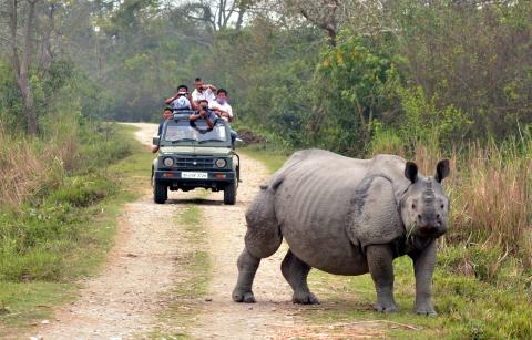 Kaziranga National Park