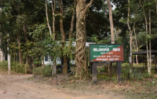 Hoollongapar Gibbon Sanctuary