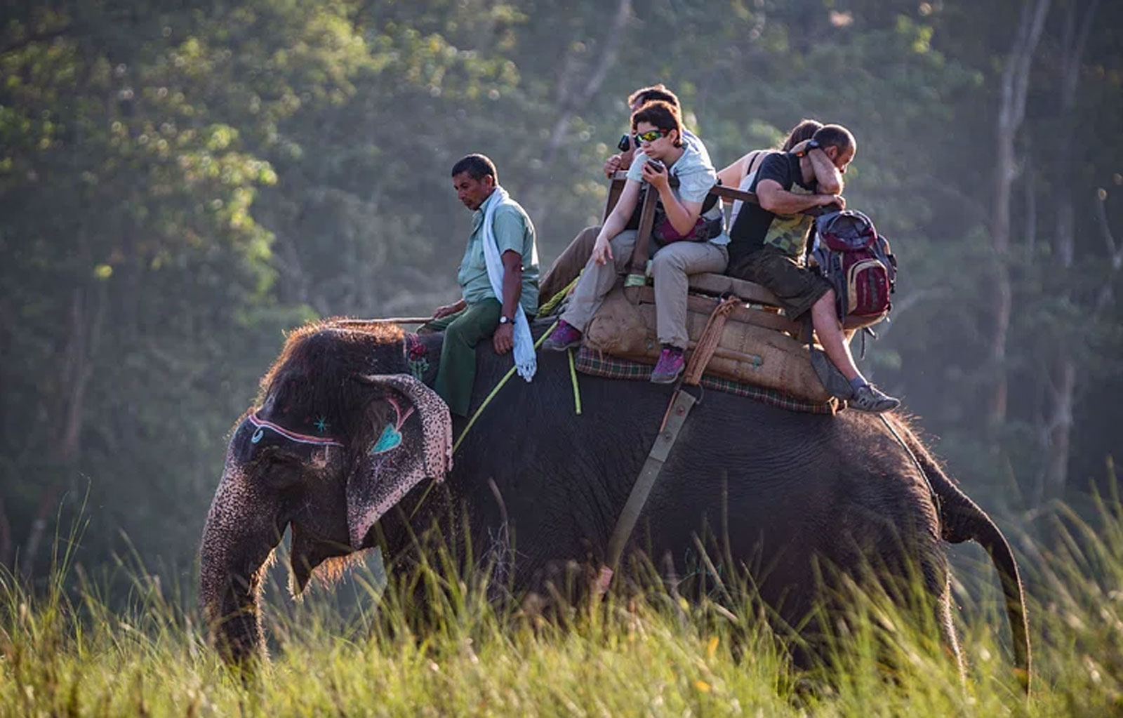 Kaziranga National Park