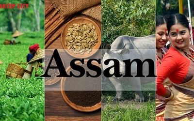 Renewable & Hydro Energy Expo Assam 2027