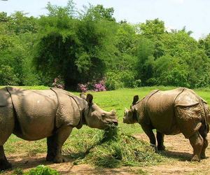 Assam State Zoo cum Botanical Garden